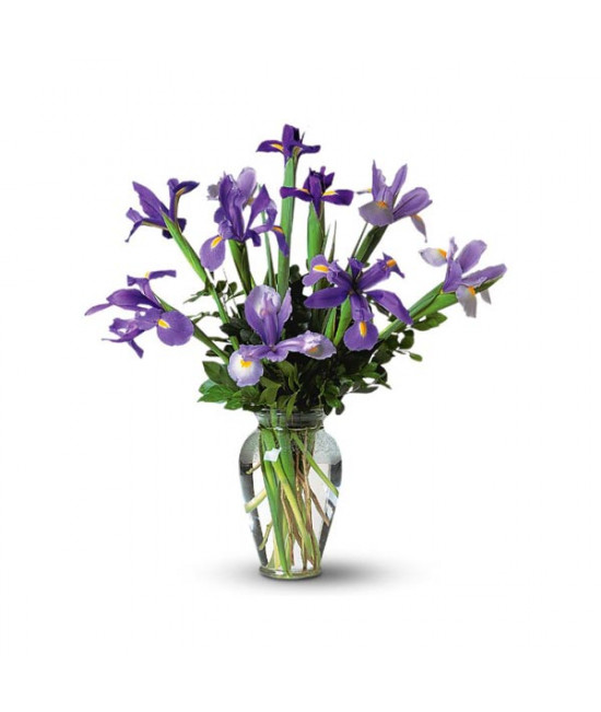 Iris Bouquet in a Vase